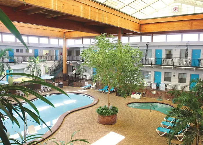 Daytona Beach Dog Friendly Lodging and Hotels
